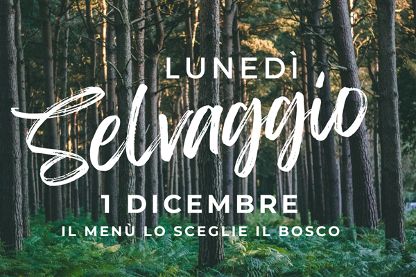 1 DICEMBRE: LUNEDI' SELVAGGIO
